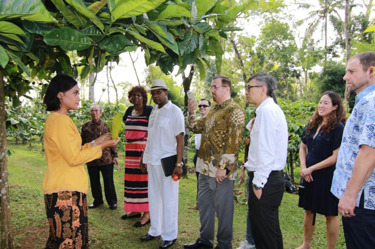 Mesastila Resort And Spa Magelang Eksteriør bilde