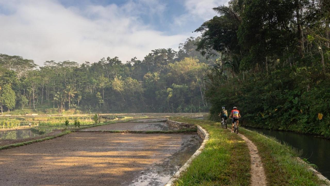 Mesastila Resort And Spa Magelang Eksteriør bilde