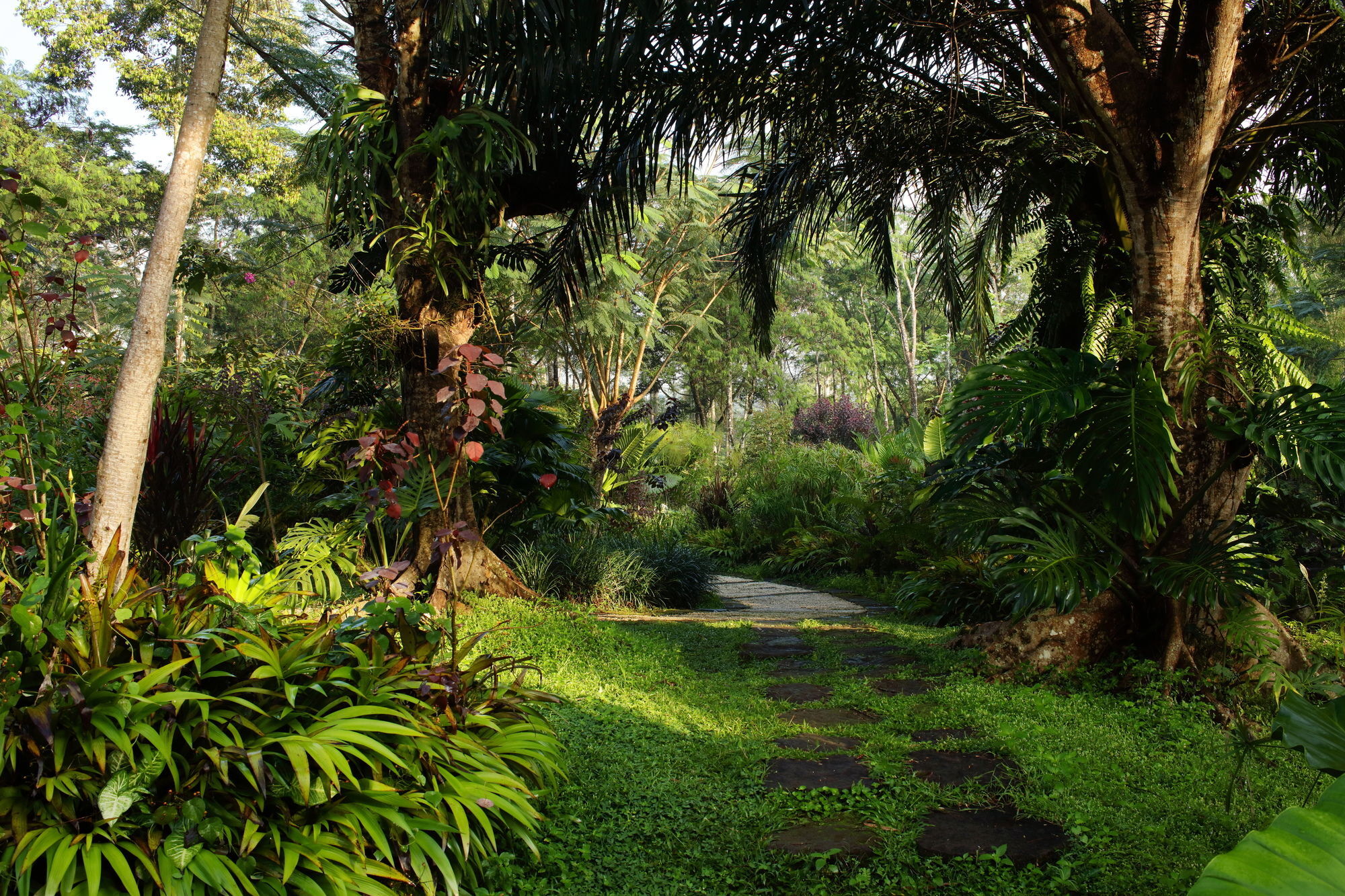 Mesastila Resort And Spa Magelang Eksteriør bilde